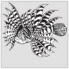2" x 2" DTF Heat Transfer Thumbnail