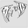 2" x 2" DTF Heat Transfer Thumbnail