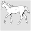 4" x 4" DTF Heat Transfer Thumbnail