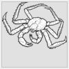 4" x 4" DTF Heat Transfer Thumbnail