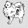 4" x 4" DTF Heat Transfer Thumbnail