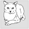 4" x 4" DTF Heat Transfer Thumbnail