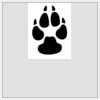 6" x 6" DTF Heat Transfer Thumbnail