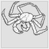 6" x 6" DTF Heat Transfer Thumbnail