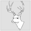 10" x 10" DTF Heat Transfer Thumbnail