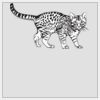 10" x 10" DTF Heat Transfer Thumbnail