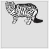 10" x 10" DTF Heat Transfer Thumbnail