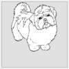 10" x 10" DTF Heat Transfer Thumbnail