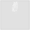 10" x 10" DTF Heat Transfer Thumbnail